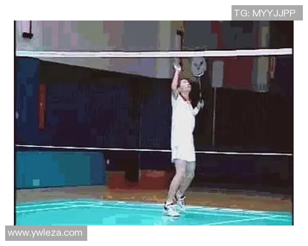 杭州羽毛球队的转换打法深度分析与战术解析 杭州羽毛球队的转换打法深度分析与战术解析