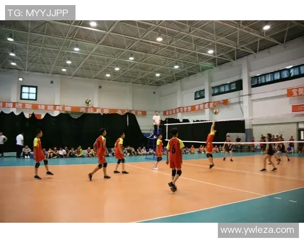 专访刘强：探寻排球背后的成功秘诀与发展之路