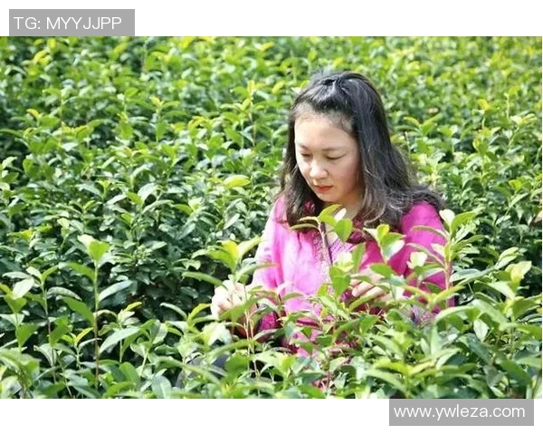 2023年全球足球明星身价排名揭秘视频精彩回顾与分析 2023年全球足球明星身价排名揭秘视频精彩回顾与分析