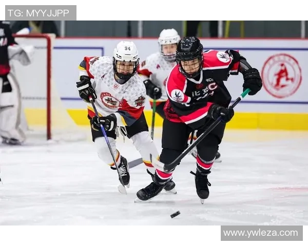 深圳篮球队总决赛状态解析：从表现看未来发展潜力与挑战